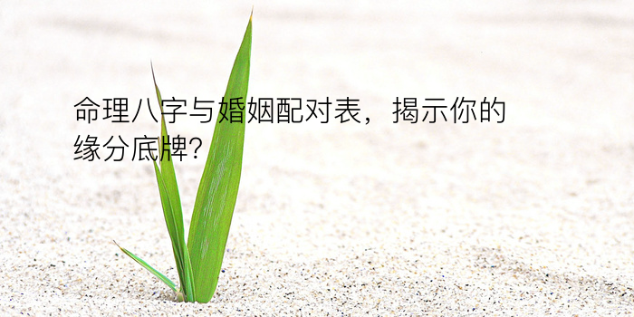 今日运程八字测算游戏截图