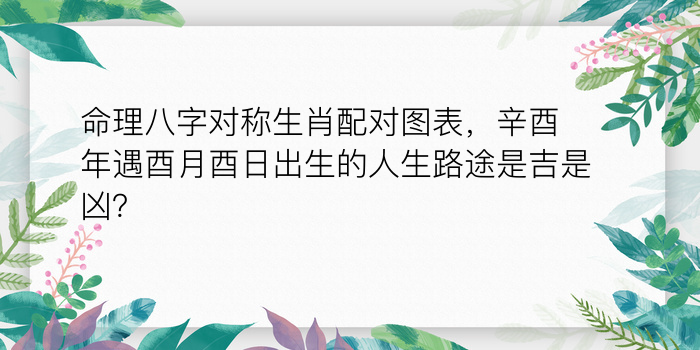 女羊属相婚配游戏截图