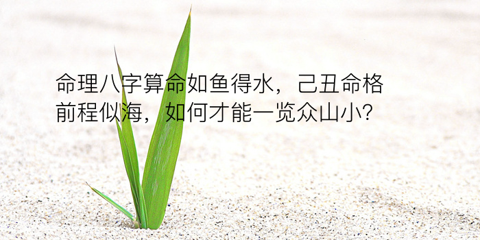 明人八字运程游戏截图