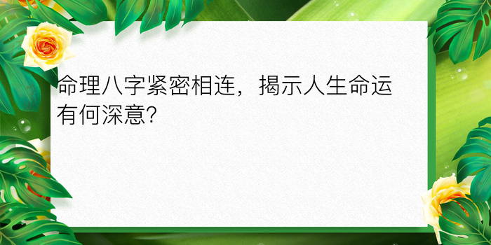 命理八字紧密相连，揭示人生命运有何深意？