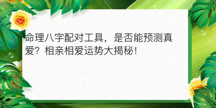 命理八字配对工具，是否能预测真爱？相亲相爱运势大揭秘！