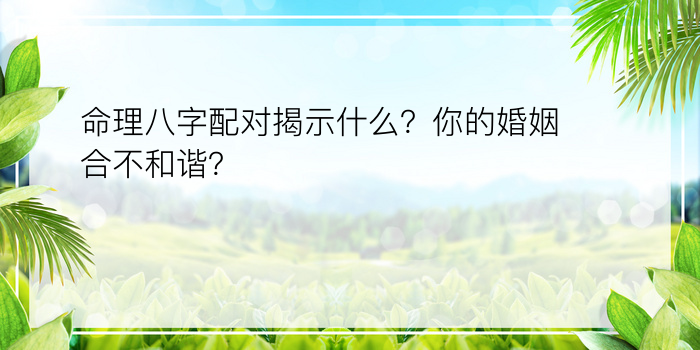 命理八字配对揭示什么？你的婚姻合不和谐？