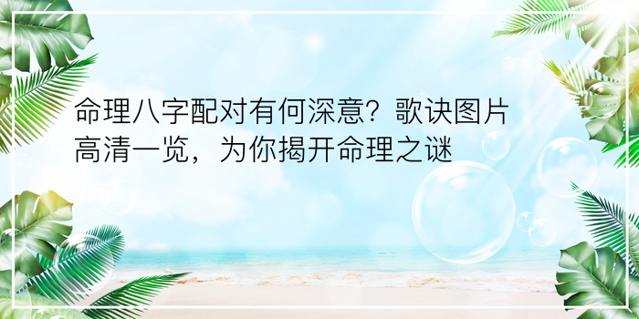 测试八字算命游戏截图