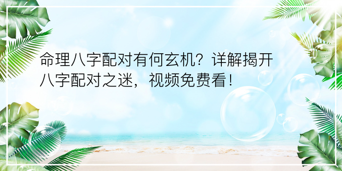 命理八字配对有何玄机？详解揭开八字配对之迷，视频免费看！