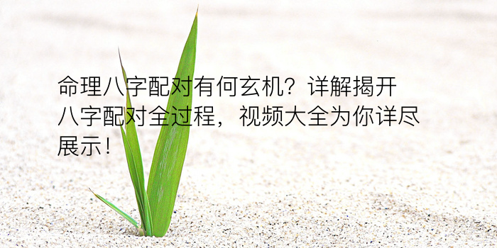 命理八字配对有何玄机？详解揭开八字配对全过程，视频大全为你详尽展示！