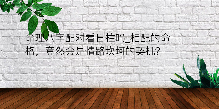 命理八字配对看日柱吗_相配的命格，竟然会是情路坎坷的契机？