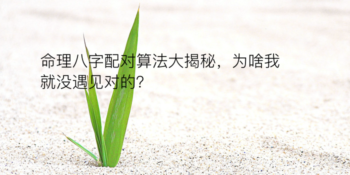 运程八字测算游戏截图