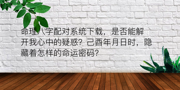 命理八字配对系统下载，是否能解开我心中的疑惑？己酉年月日时，隐藏着怎样的命运密码？