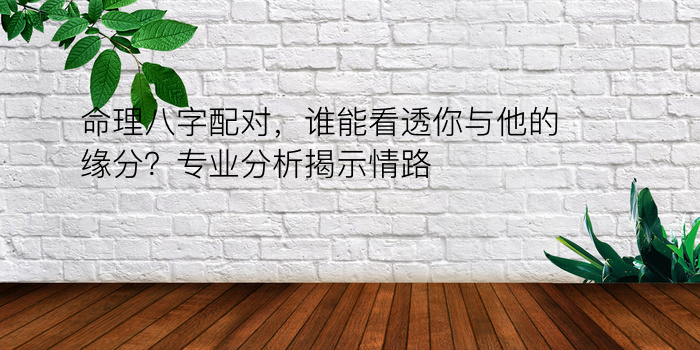 命理八字配对，谁能看透你与他的缘分？专业分析揭示情路