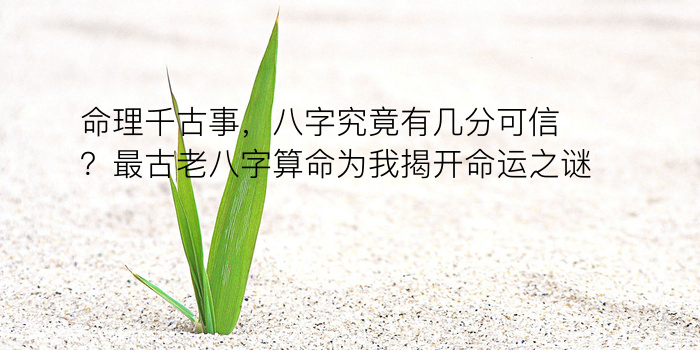 八字运程根运游戏截图