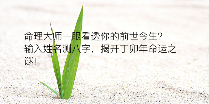 八字算命怎么看游戏截图