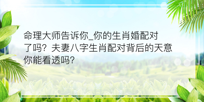 命理大师告诉你_你的生肖婚配对了吗？夫妻八字生肖配对背后的天意你能看透吗？