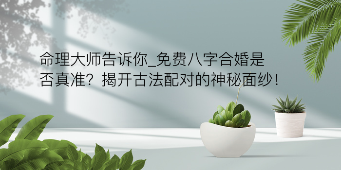 易经八字起名游戏截图