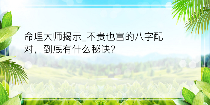 取名字生辰八字起名免费游戏截图