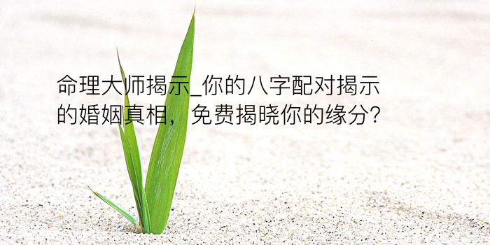 八字起名网靠谱吗游戏截图