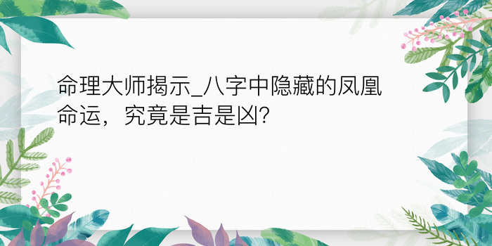 三藏八字算命游戏截图