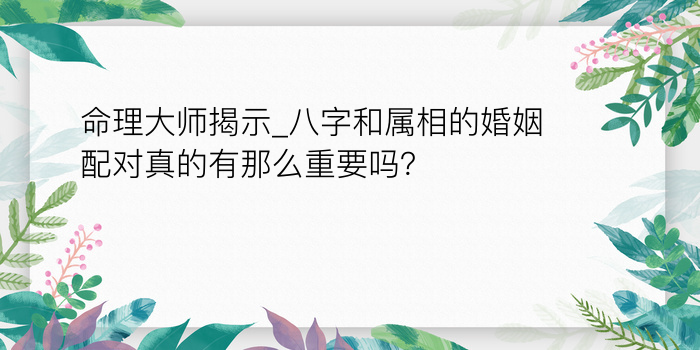 命理大师揭示_八字和属相的婚姻配对真的有那么重要吗？