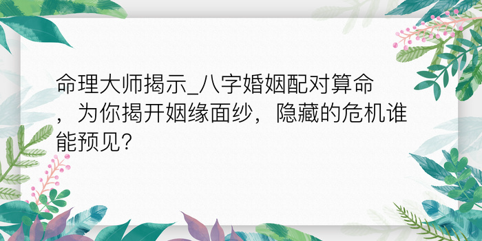 免费算八字终身运程游戏截图