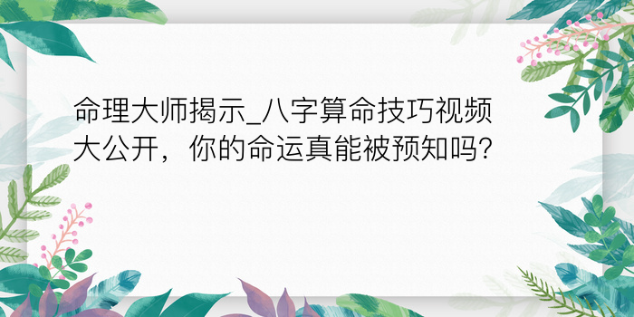 八字运程线游戏截图