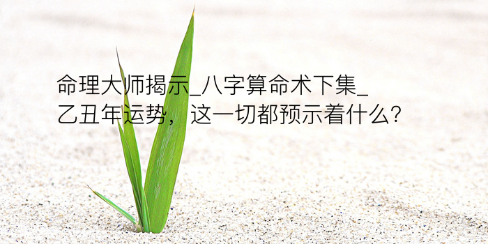 八字喜起名游戏截图