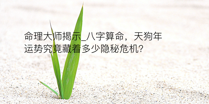 生辰八字每月运程游戏截图