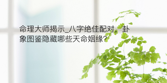 命理大师揭示_八字绝佳配对，卦象图鉴隐藏哪些天命姻缘？