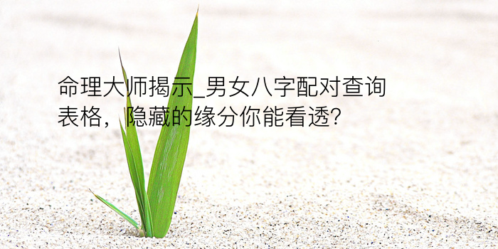 命理大师揭示_男女八字配对查询表格，隐藏的缘分你能看透？