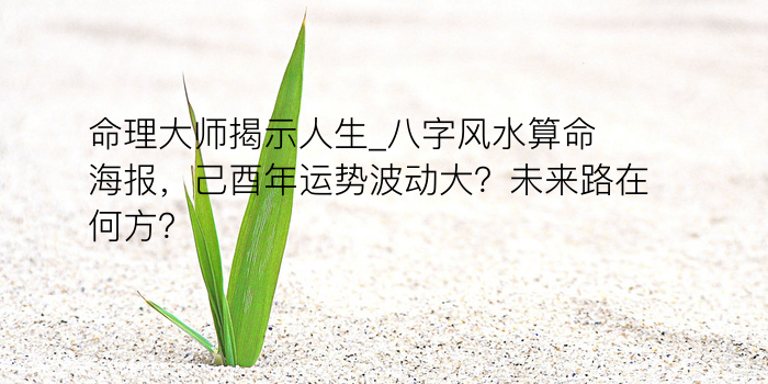 命理大师揭示人生_八字风水算命海报，己酉年运势波动大？未来路在何方？