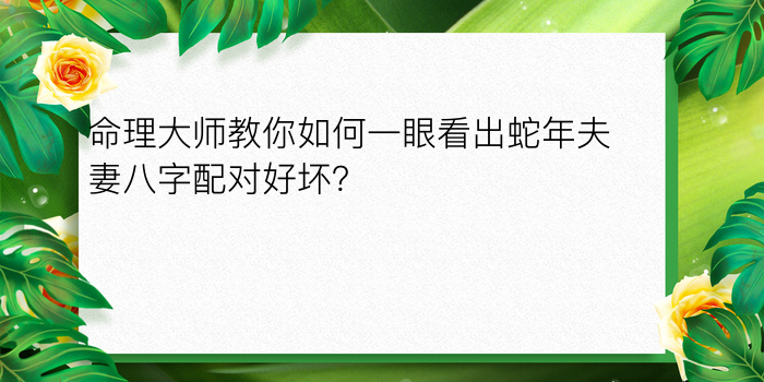 命理大师教你如何一眼看出蛇年夫妻八字配对好坏？