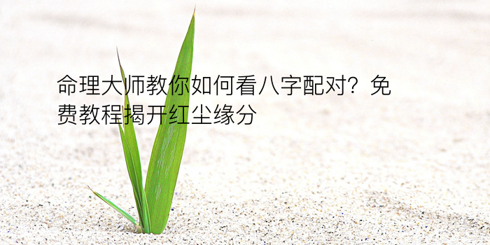 命理大师教你如何看八字配对？免费教程揭开红尘缘分