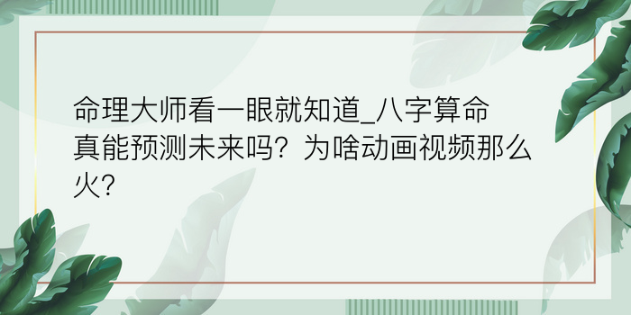 夫妻八字算命婚姻配对游戏截图