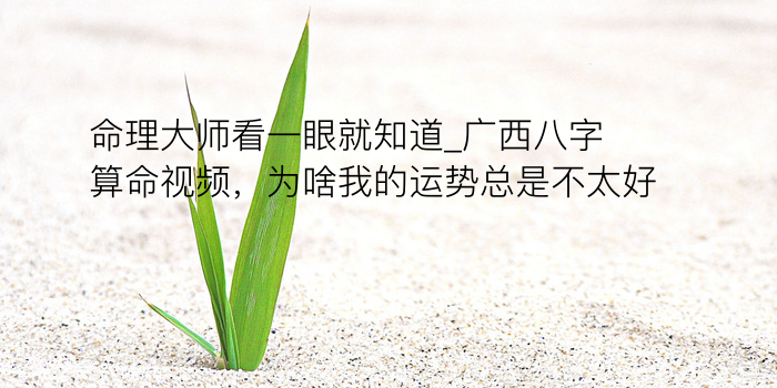 批八字配对游戏截图