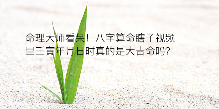 八字流年算命游戏截图