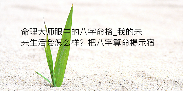 八字算命神煞游戏截图