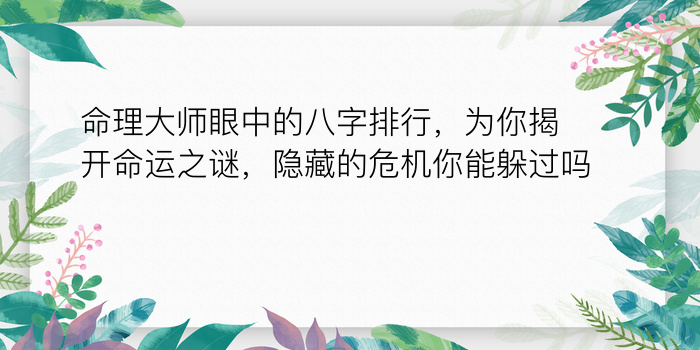 二零二算运网