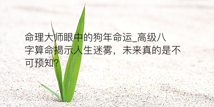 命理大师眼中的狗年命运_高级八字算命揭示人生迷雾，未来真的是不可预知？