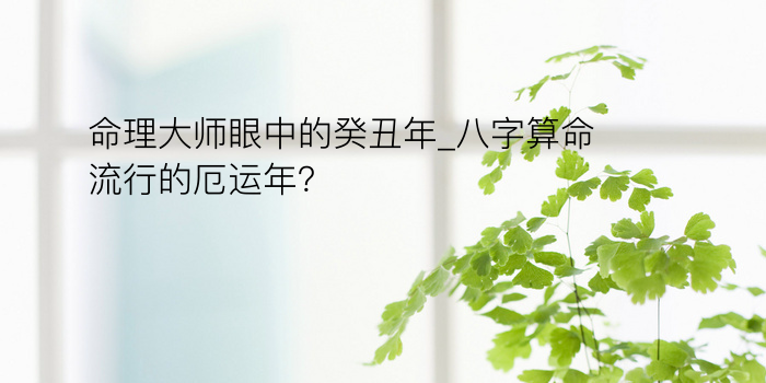 命理大师眼中的癸丑年_八字算命流行的厄运年？