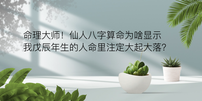 八字算命方法游戏截图