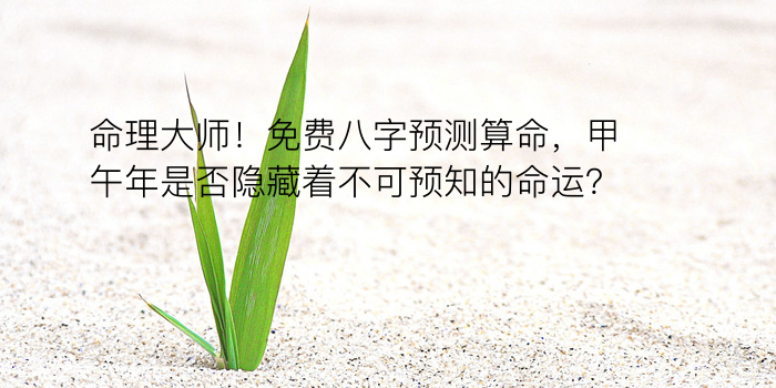 八字宝宝起名游戏截图