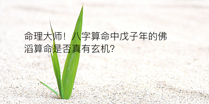 命理大师！八字算命中戊子年的佛滔算命是否真有玄机？