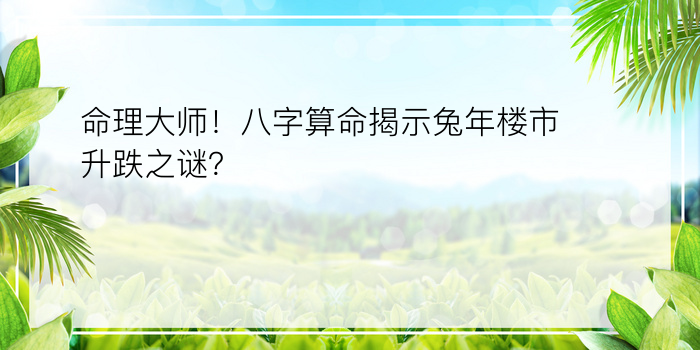 命理大师！八字算命揭示兔年楼市升跌之谜？