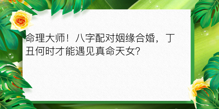 八字运程2024游戏截图