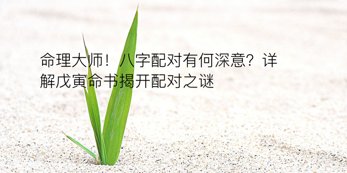 命理大师！八字配对有何深意？详解戊寅命书揭开配对之谜