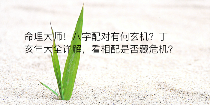 命理大师！八字配对有何玄机？丁亥年大全详解，看相配是否藏危机？