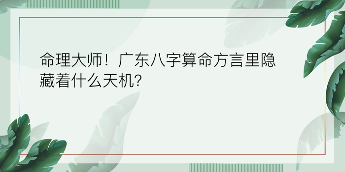 龙虎属相婚配好吗游戏截图