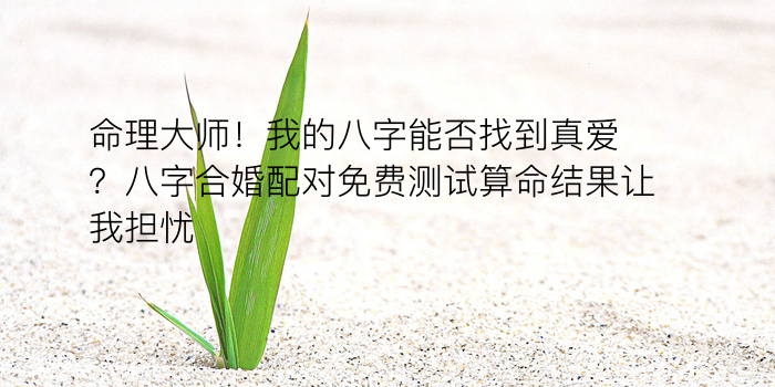 八字算命八字运程游戏截图