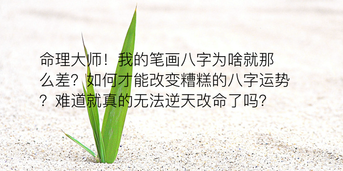 八字算命一生运程游戏截图