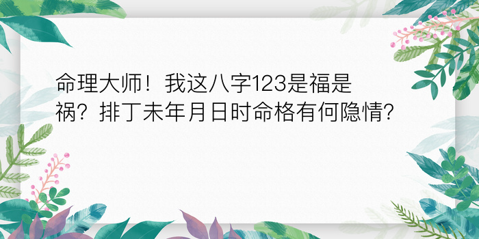 二零二算运网