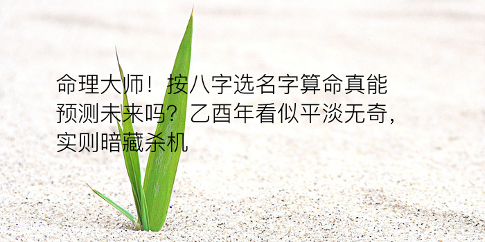 八字起名名典游戏截图