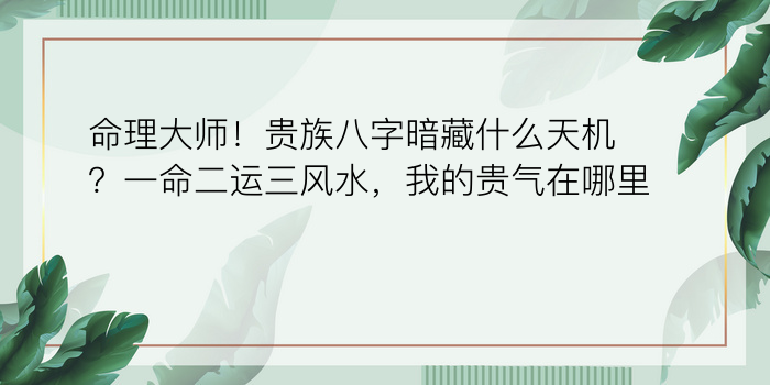 八字算命实例游戏截图